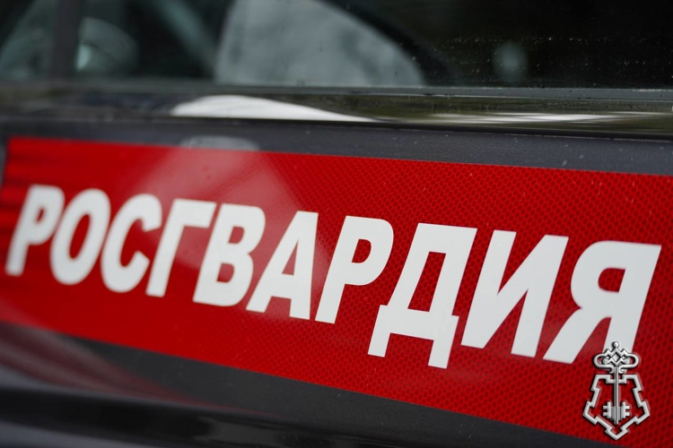 РОСГВАРДИЯ ИНФОРМИРУЕТ